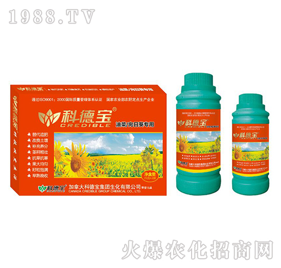 ͲտàI(yng)B(yng)a(chn){(dio)턩-Ƶ