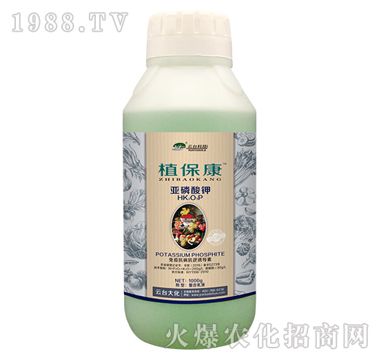 1000gֲ-_(ti)