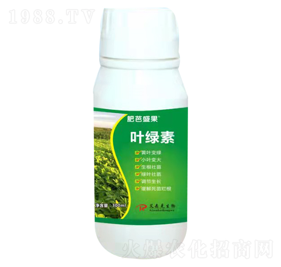 葉綠素-肥芭盛果-愛森克