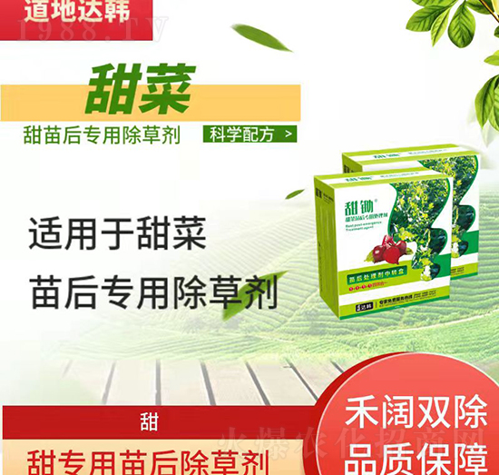 ˳݄--ˌ(zhun)-n