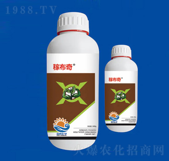 40%ϩ˪ ڲ ȽW(xu)1