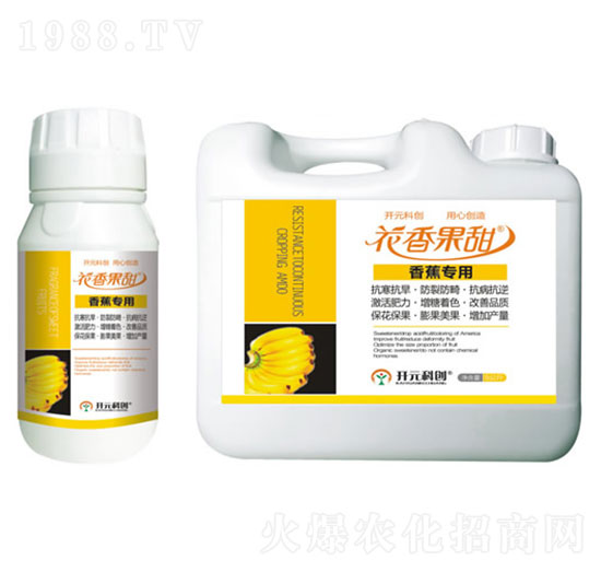 㽶(zhun)--ֲ
