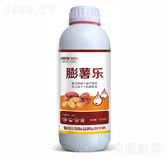 (li)a(chn)(zhun)-혷(l)-_˼ķ