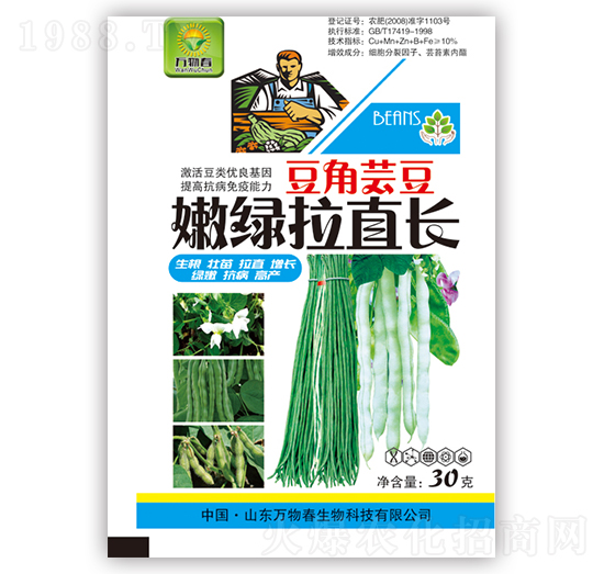 豆角蕓豆嫩綠拉直長(zhǎng)-萬(wàn)物春