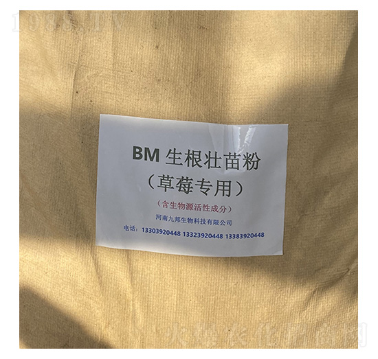 BMݮ(zhun)ã-Ű