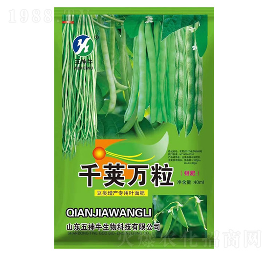 (li)(zhun)~-ǧvf(wn)-ţ