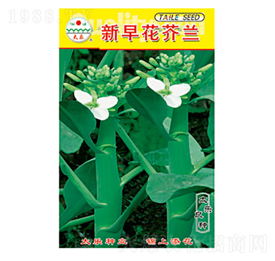 mN-绨m-̫(l)NI(y)