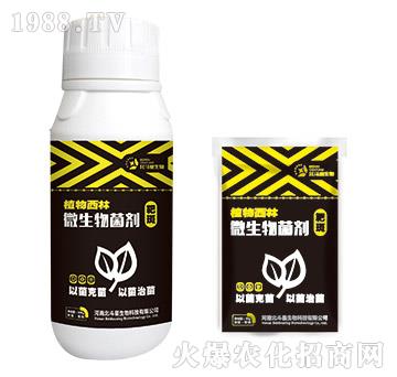 аߌ(zhun)΢-ֲ-