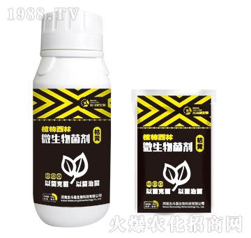 S(zhun)΢-ֲ-