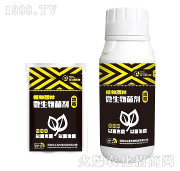 y݌(zhun)΢-ֲ-