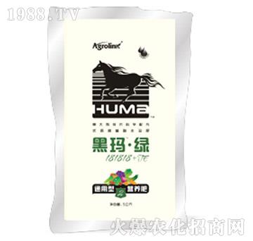 營養(yǎng)肥腐植酸水溶肥料-黑瑪·綠181818+TE-豐聯(lián)農(nóng)業(yè)