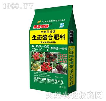 (sh)(zhun)B(ti)Ϸ20-10-10-