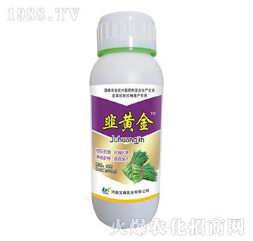 500mlS-䌍I(y)