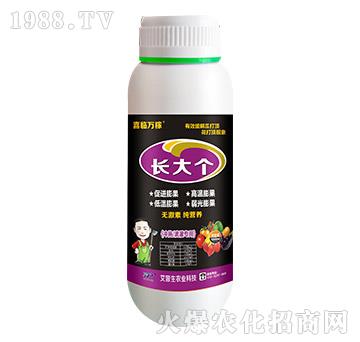長大個(gè)-喜臨萬稼-艾普生