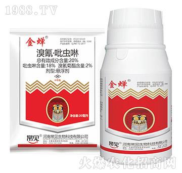 20%衤x(chng)-s-ʯ