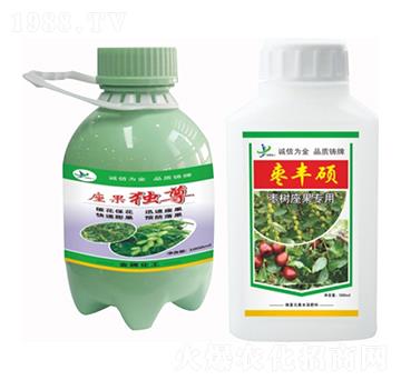 棗樹座果專用 座果獨尊 棗豐碩 金牌化工