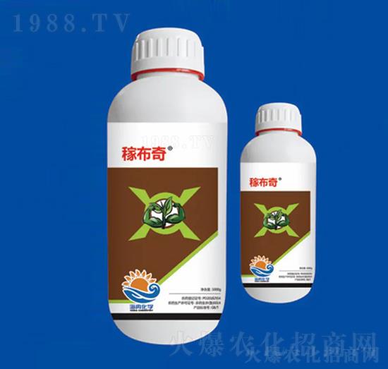 40%ϩ˪ ڲ ȽW(xu)1