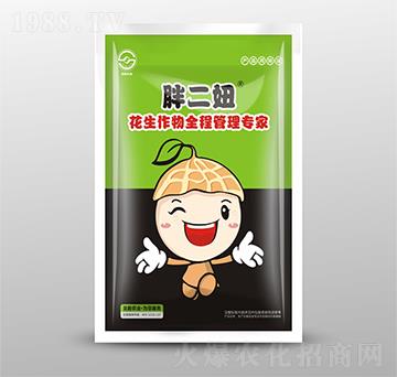 bȫ̹팣(zhun)-ֶ-ʥr(nng)I(y)