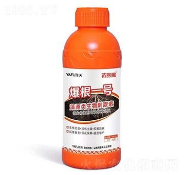 藻源類(lèi)生物刺激素-爆根一號(hào)-苗麗圃-雅夫化工