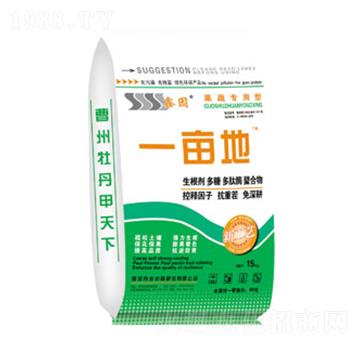 ߌ(zhun)÷-һ-