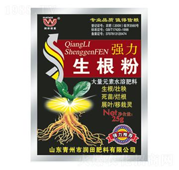 (qing)-