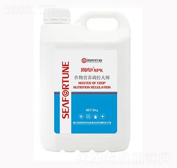 5kgIB(yng){ش150-150-150-rI(y)