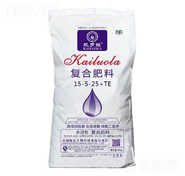 ͺϷ15-5-25+TE-r