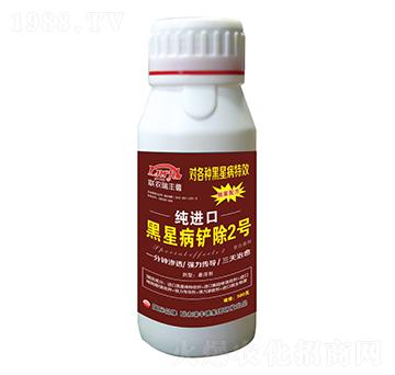 ΢-M(jn)ںǲP2̖-S