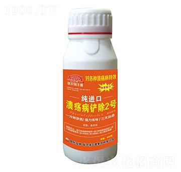 ΢-M(jn)ڝP2̖-S