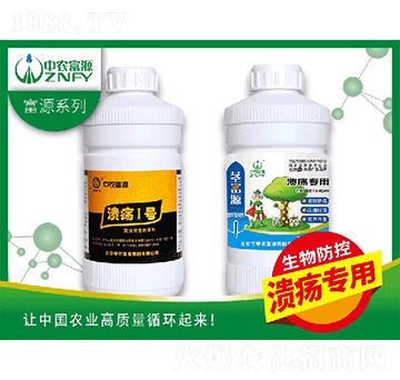 (zhun)-r(nng)