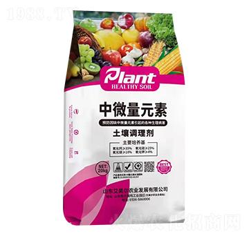 ΢Ԫ-{턩-