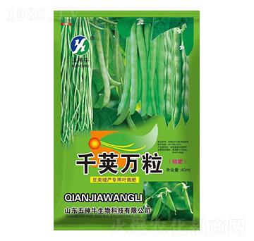 (li)(zhun)~-ǧvf(wn)-ţ