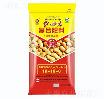 (zhun)Ï(f)Ϸ18-18-8-tķ