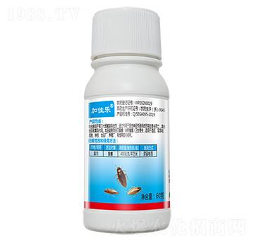 40%߻x60g-