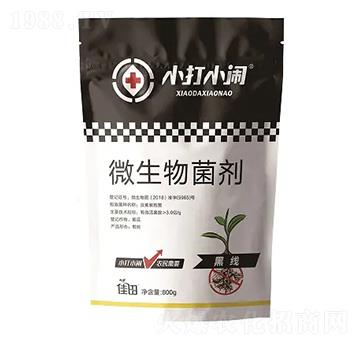 ΢-ھ(xin)-СС[-