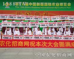 oԳֵ׵1988.TVđ(zhn)ʿ