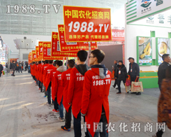 1988.TVˆTwP(yng)